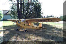 pipercub.jpg (105886 bytes)